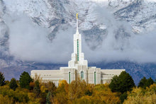 Load image into Gallery viewer, Mt. Timpanogos Hillside