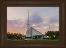Load image into Gallery viewer, Dallas 01