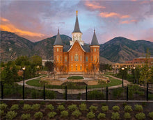 Load image into Gallery viewer, Provo CC Evening Glow