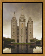 Load image into Gallery viewer, Salt Lake Shelter from the Storm