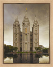 Load image into Gallery viewer, Salt Lake Shelter from the Storm