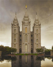Load image into Gallery viewer, Salt Lake Shelter from the Storm