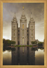 Load image into Gallery viewer, Salt Lake Shelter from the Storm