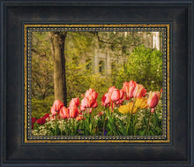 Load image into Gallery viewer, Salt Lake In The Garden