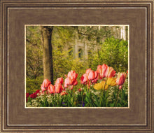 Load image into Gallery viewer, Salt Lake In The Garden