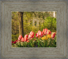 Load image into Gallery viewer, Salt Lake In The Garden