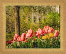 Load image into Gallery viewer, Salt Lake In The Garden