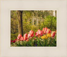 Load image into Gallery viewer, Salt Lake In The Garden