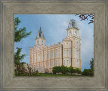 Load image into Gallery viewer, Manti 02