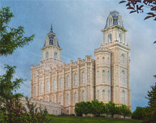 Load image into Gallery viewer, Manti 02