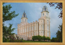 Load image into Gallery viewer, Manti 02