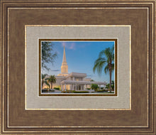 Load image into Gallery viewer, Orlando 02