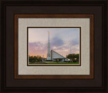 Load image into Gallery viewer, Dallas 01
