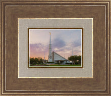 Load image into Gallery viewer, Dallas 01