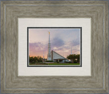 Load image into Gallery viewer, Dallas 01