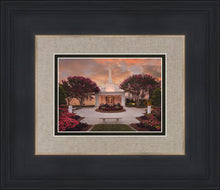 Load image into Gallery viewer, Raleigh Splendor