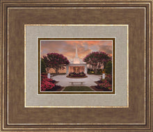 Load image into Gallery viewer, Raleigh Splendor