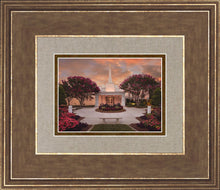 Load image into Gallery viewer, Raleigh Splendor