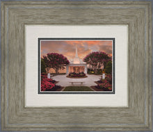 Load image into Gallery viewer, Raleigh Splendor