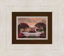 Load image into Gallery viewer, Raleigh Splendor