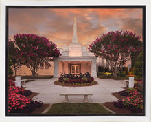 Load image into Gallery viewer, Raleigh Splendor