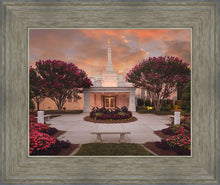 Load image into Gallery viewer, Raleigh Splendor
