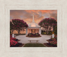 Load image into Gallery viewer, Raleigh Splendor