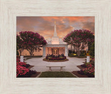 Load image into Gallery viewer, Raleigh Splendor