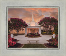 Load image into Gallery viewer, Raleigh Splendor
