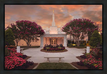 Load image into Gallery viewer, Raleigh Splendor