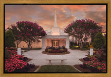Load image into Gallery viewer, Raleigh Splendor