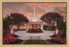 Load image into Gallery viewer, Raleigh Splendor