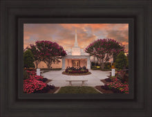 Load image into Gallery viewer, Raleigh Splendor
