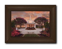 Load image into Gallery viewer, Raleigh Splendor