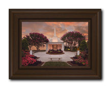 Load image into Gallery viewer, Raleigh Splendor