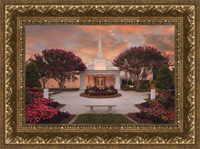 Load image into Gallery viewer, Raleigh Splendor
