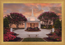 Load image into Gallery viewer, Raleigh Splendor
