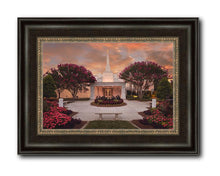 Load image into Gallery viewer, Raleigh Splendor