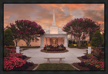 Load image into Gallery viewer, Raleigh Splendor
