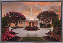 Load image into Gallery viewer, Raleigh Splendor