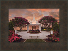 Load image into Gallery viewer, Raleigh Splendor