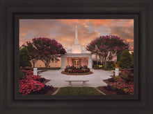 Load image into Gallery viewer, Raleigh Splendor