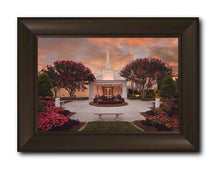 Load image into Gallery viewer, Raleigh Splendor