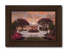 Load image into Gallery viewer, Raleigh Splendor