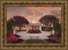Load image into Gallery viewer, Raleigh Splendor