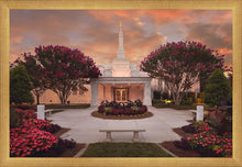 Load image into Gallery viewer, Raleigh Splendor
