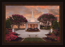 Load image into Gallery viewer, Raleigh Splendor
