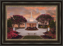 Load image into Gallery viewer, Raleigh Splendor