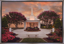 Load image into Gallery viewer, Raleigh Splendor