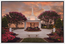 Load image into Gallery viewer, Raleigh Splendor